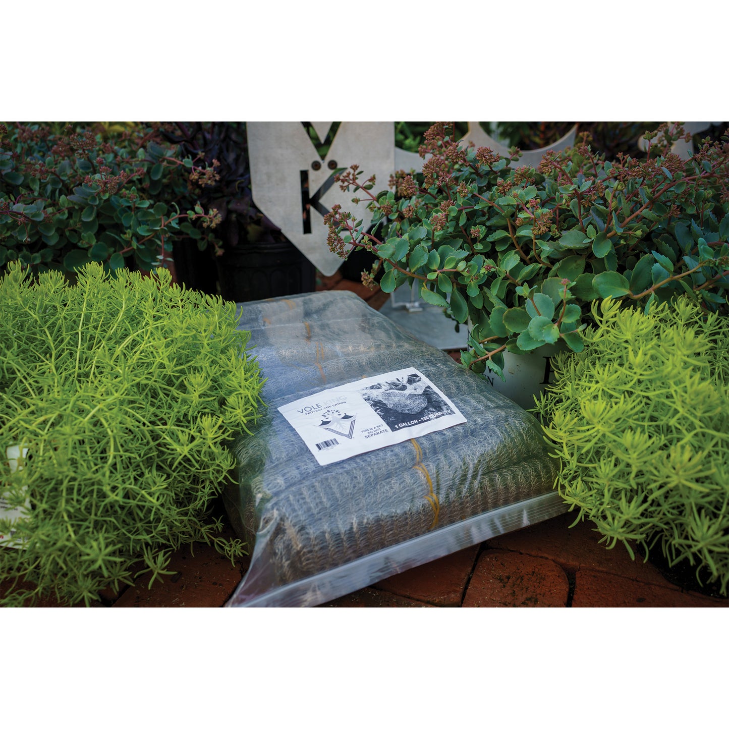 Bulk Quantities (25, 50, or 100 vole baskets)