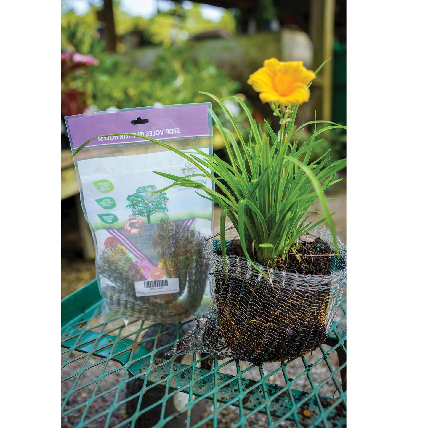1-gallon Vole Basket (pack of 4 baskets)