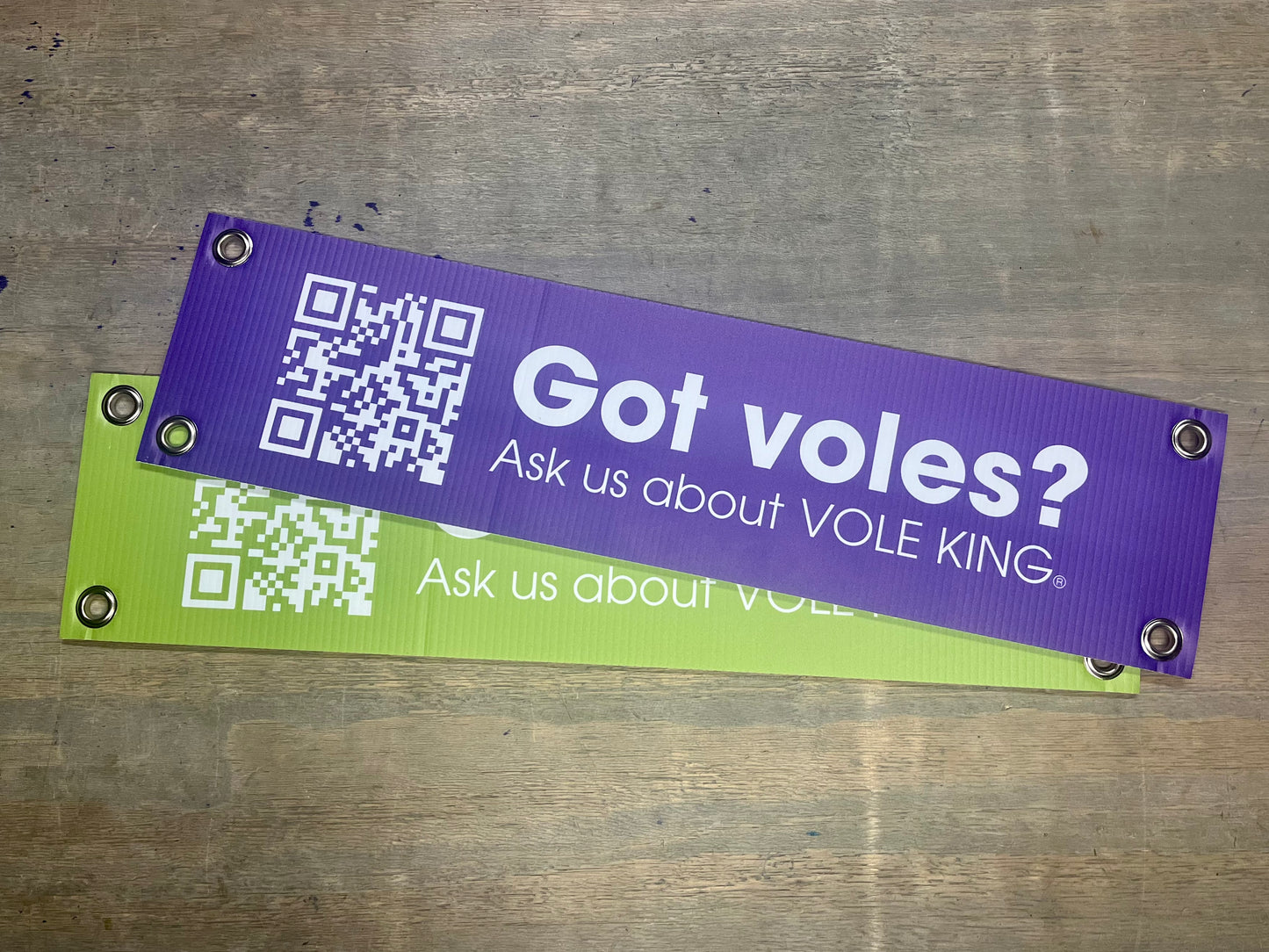 VOLE KING® Garden Center Starter Kit