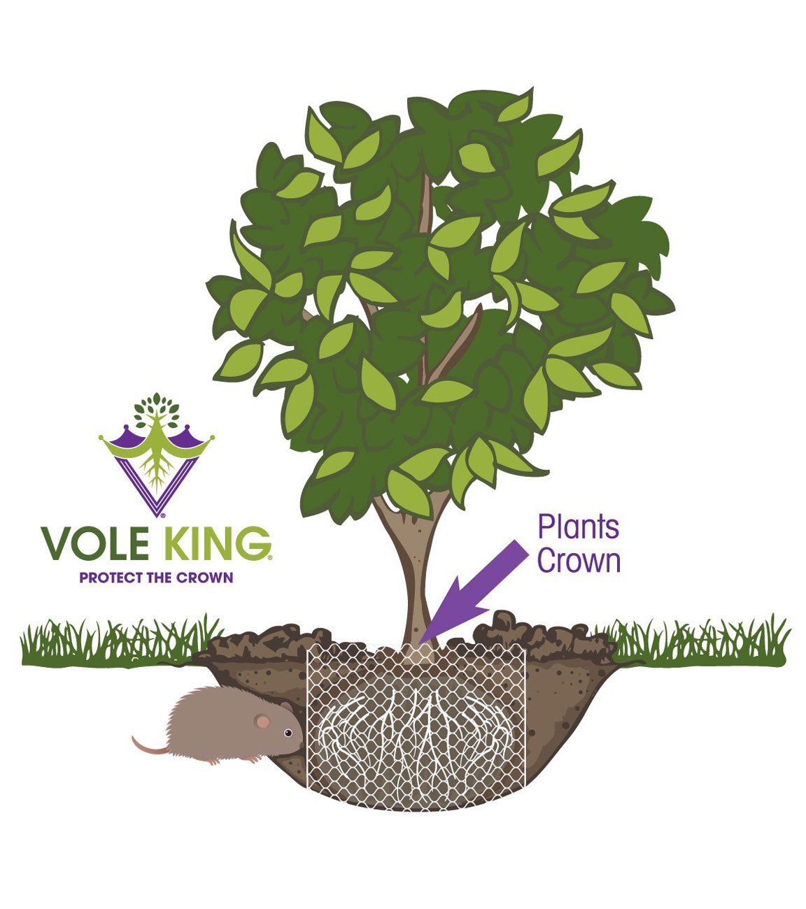 3-gallon Vole Basket (pack of 4 baskets)