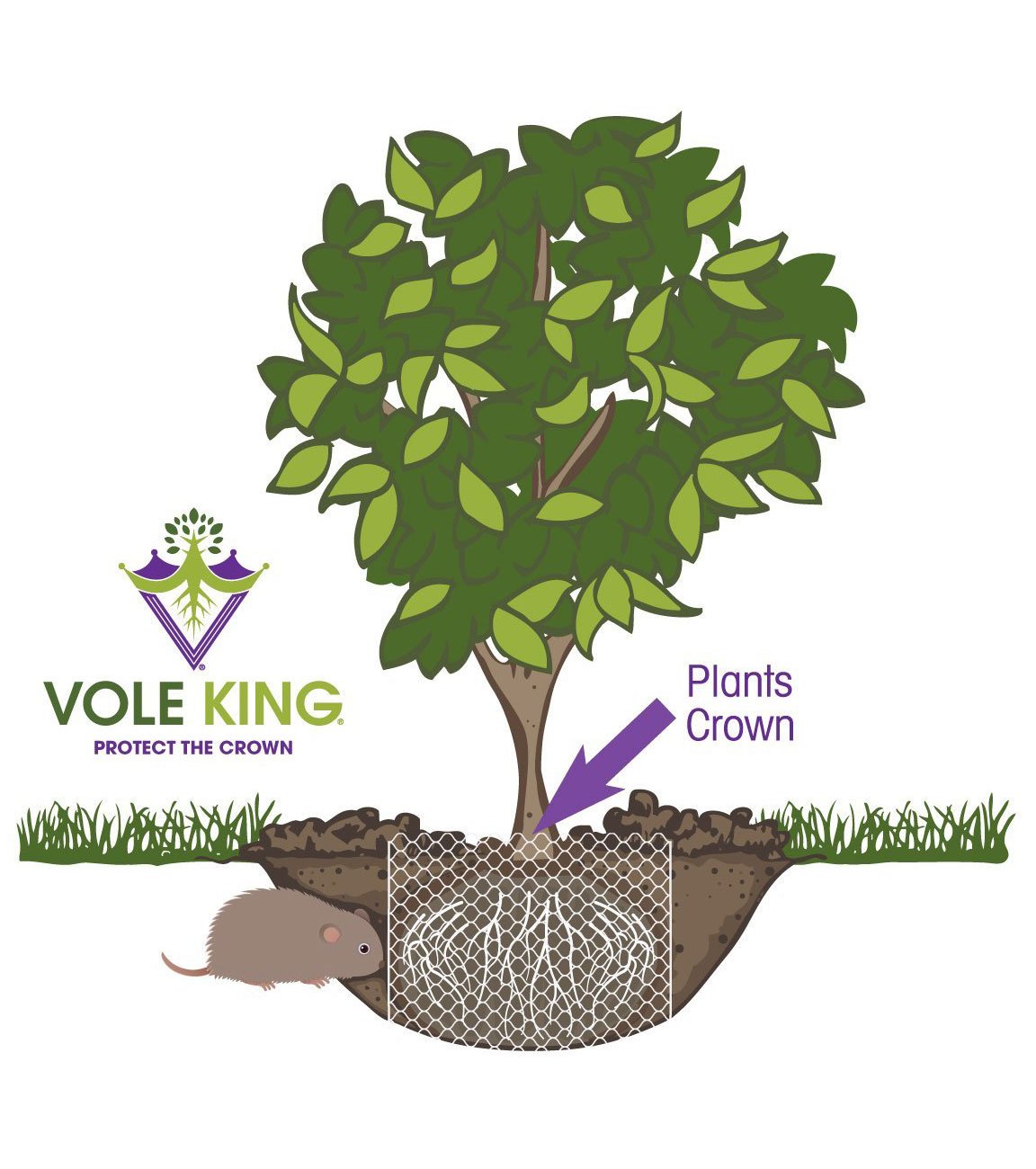 5-gallon Vole Basket (pack of 2 baskets)