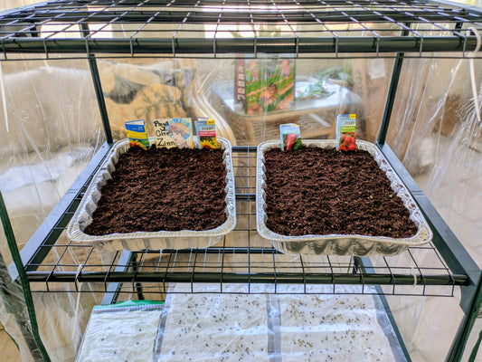 Emilee's 3 Keys to Starting Seeds Successfully