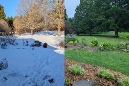 5 Proactive Tips for Spring Garden Success