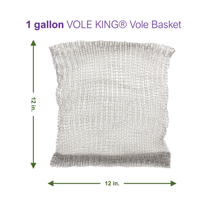1 gallon Vole Basket (pack of 4 baskets)