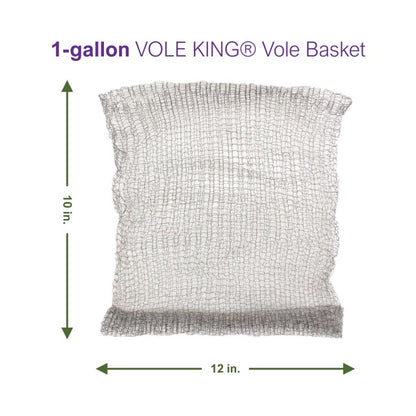 1-gallon Vole Basket (pack of 4 baskets)