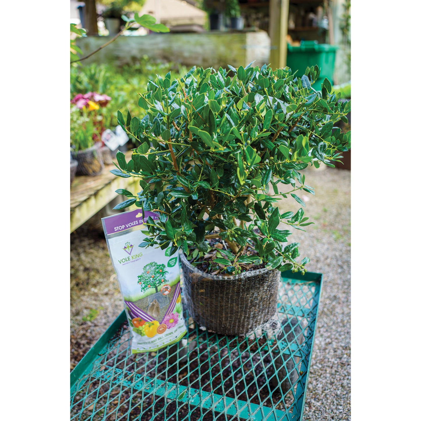 10 gallon Vole Basket (pack of 2 baskets)