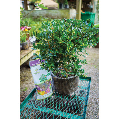 10 gallon Vole Basket (pack of 2 baskets)