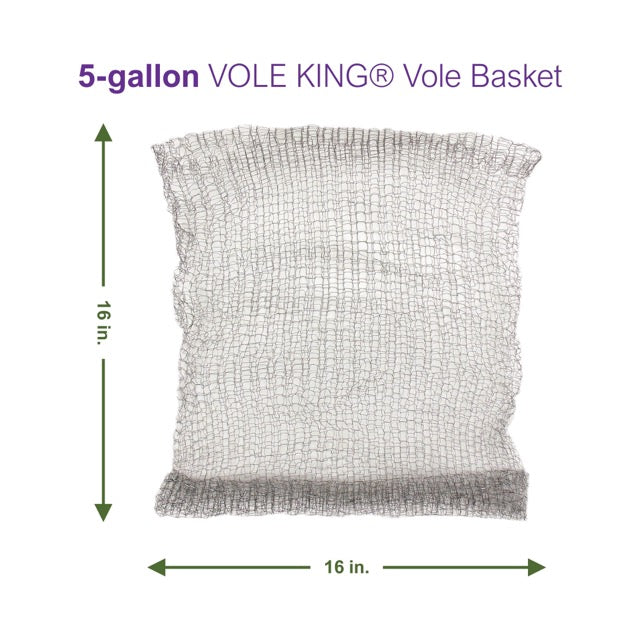 5-gallon Vole Basket (pack of 2 baskets)